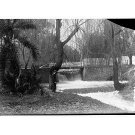 Botanic Park Waterfall