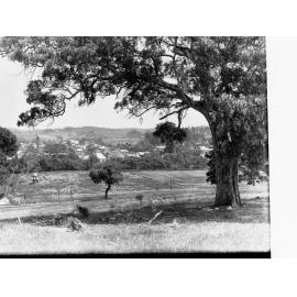 Township of  Mount Barker