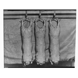Agriculture - Copy of Sheep Carcasses