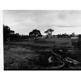 Bridgewater Poultry Settlement