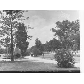 Osmond Gardens