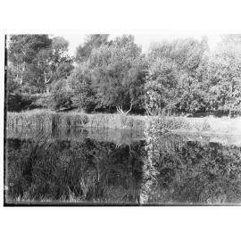 River Torrens