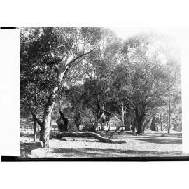 Belair National Park