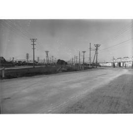 Port Road at Albert Park Showing Telegraph Lines