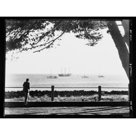 One man looking at yachts on water
