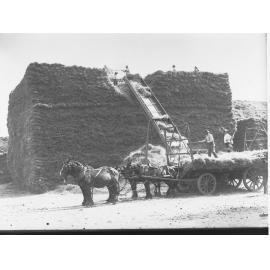 Building a Haystack Using Elevator