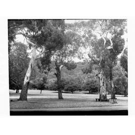 Belair National Park