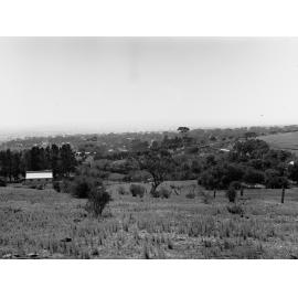 Willunga
