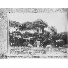 Memorial to Captain Flinders at Encounter Bay