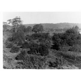 Rural View of Farms