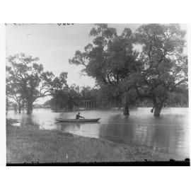 Murray River at Moorook