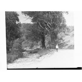 Man Walking on Port Germein Gorge Road