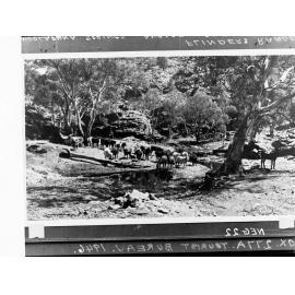 Mudlapena Springs Angapena Station, Flinders Ranges