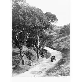 Horse and Carriage on Mount Barker Road