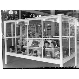 Hair Dressers Trade School Exhibition showing wigs in a glass cabinet