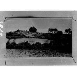 River, showing bushland and trees - no information recorded