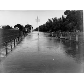 Flooded street, suburban Adelaide 1917