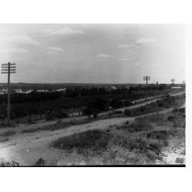 Mr A.S Ross orchard, Waikerie