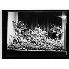Flower day - Photo of floral display