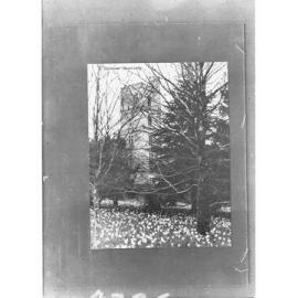 Carminow at Mount Lofty