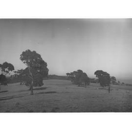 Mount Osmond golf links