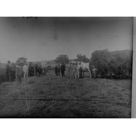 Cart filled with wheat, men standing around cart