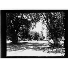 Botanical Gardens