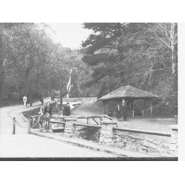 Waterfall Gully Burnside