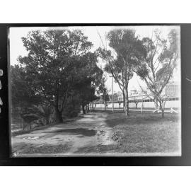 Road in Botanic Park, Agricultural showgrounds .Jubilee Exhibition Building dome in centre of picture.
