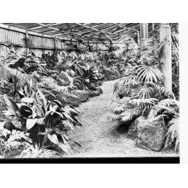 Simpson Shade House Botanic Gardens Adelaide