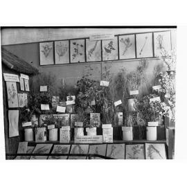 Weeds proclaimed as noxious in South Australia - Agriculture Hall, Royal Adelaide Show