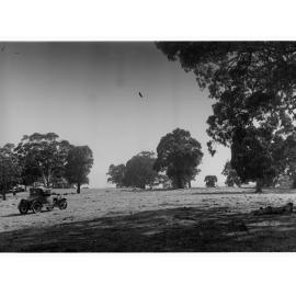 Mount Osmond golf links showing automobile