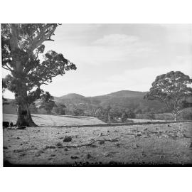 Mount Osmond