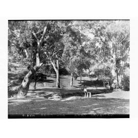 Belair National Park