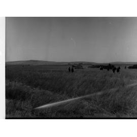 Lake View Field Trials Harvesters in a field