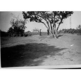 Two people standing beneath a tree