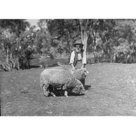 Man with two sheep