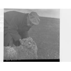 Man holding a sheep  (photo refers to sheep infested with lice)