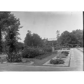 Garden Plot at Botanic Gardens