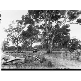 On the Road to Joanna Near Naracoorte