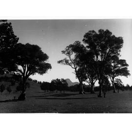 Rural Scene