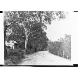 Norton Summit Road Showing House Amongst the Trees