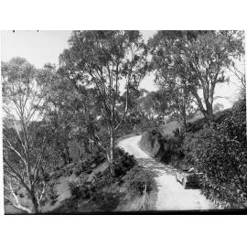 Corkscrew Road near ridge top, Montacute