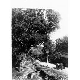 Mount Barker Road Showing State Tourist Bureau Authority Charabanc