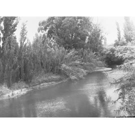 River Torrens