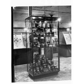 Agricultural Exhibition preserved fruits and vegetables display