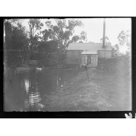 Irrigation works on the River Murray