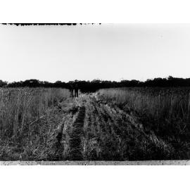 Pinnaroo crop stubble