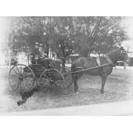 Horse and trap - two men in the trap - Local Government negatives