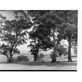 Mount Osmond